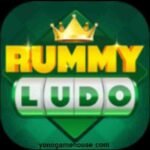 Rummy Ludo